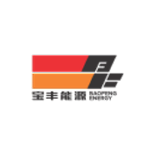 Ningxia Baofeng Energy Group Co Ltd Class A