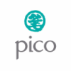 Pico Far East Holdings Ltd