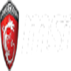 Micro-Star International Co Ltd